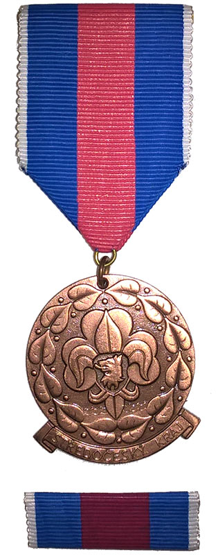 Medaile kraje modrých řek - 1. stupeň
